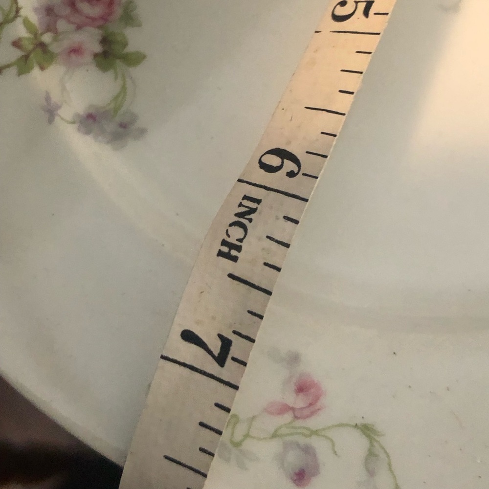ANTIQUE LIMOGES PROVIDENCE RHODE ISLAND PLATE 1900s over 100 years old - Picture 2 of 6